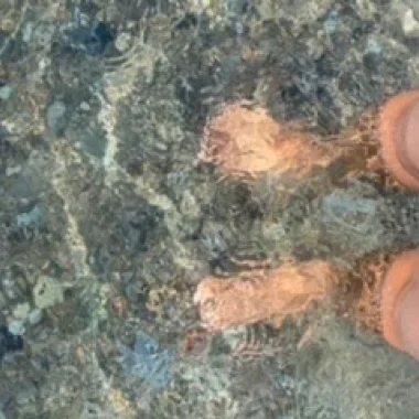 Lol