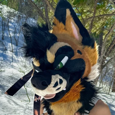 PalaceWolf